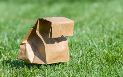 Book Club and Brown Bag Lunch! Meet at Shafer Park, 4/29 at Noon